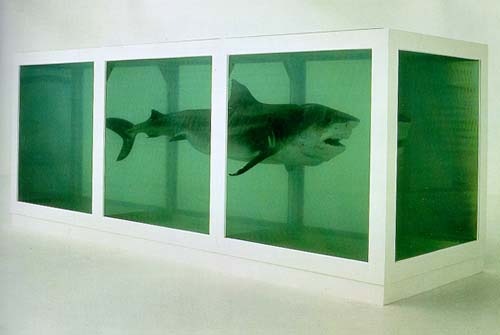 [Hirst Shark[3].jpg]